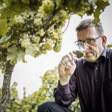 Rieslingälskare – se hit och inte längre, ny toppårgång från ikonisk vinmark