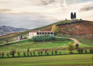 Vingårdsläget Cannubi kännetecknar en av de kändaste kullarna i Italien