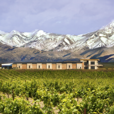 Spring Wine & Spirits startar nytt grönt samarbete med argentinska Domaine Bousquet