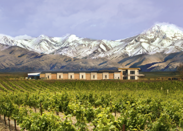 Spring Wine & Spirits startar nytt grönt samarbete med argentinska Domaine Bousquet