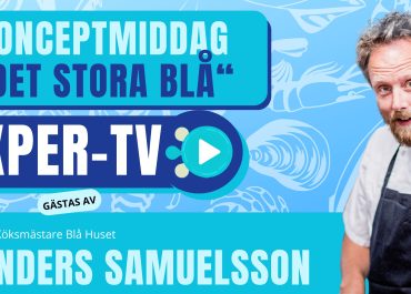 XPER-TV: Gotthards Krog aktuell med konceptmiddagen - Det Stora Blå!