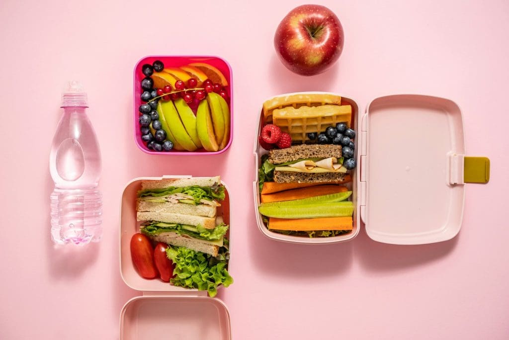 Healthy lunch to go. Sandwitches, Fruits and vegetables packed in lunch box