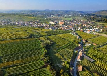 Schloss Gobelsburg till Wine Affair