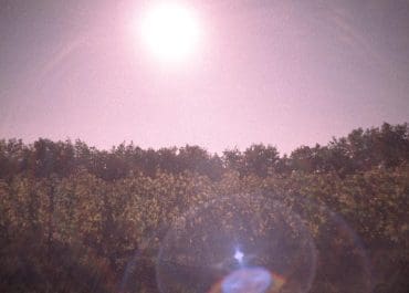 Sofia Ricasoli skriver nästa kapitel i familjens vinberättelse med lanseringen av Innesto