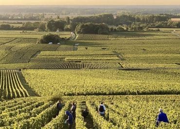 Årgång 2023 från Domaine Marquis d'Angerville i Volnay.