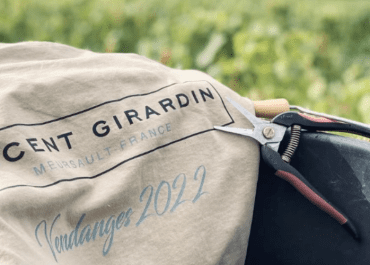 Vincent Girardin Bourgogne Terroir Noble Chardonnay 2023