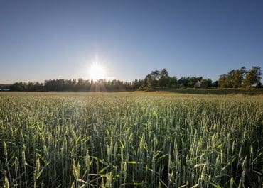 Lantmännen bland de främsta när svenskarna rankar hållbarhet