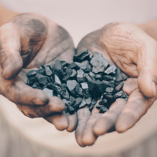 MAX Burgers köper Sveriges, och troligen världens, första biokolskrediter