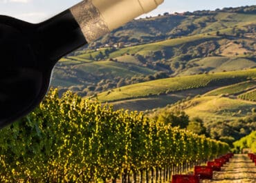 Il Cascinone Crocera Barbera d'Asti Superiore