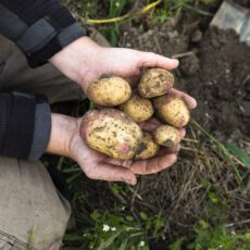 ”Gör ekologiskt till en större och konkurrenskraftigare del av svensk matproduktion”