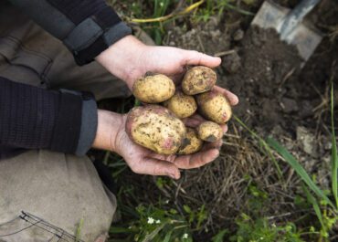 ”Gör ekologiskt till en större och konkurrenskraftigare del av svensk matproduktion”
