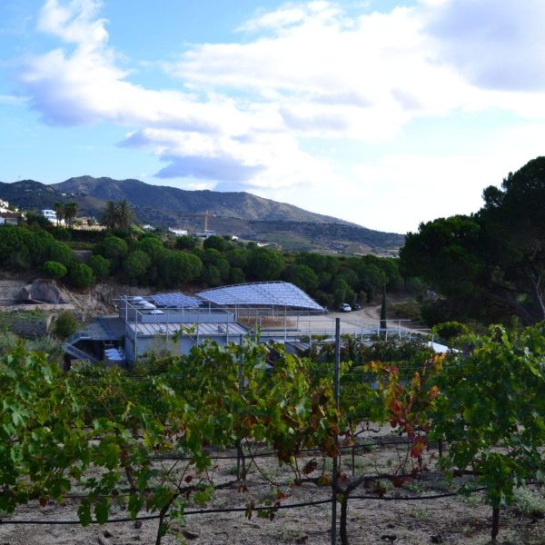 2. Celler (exterior)